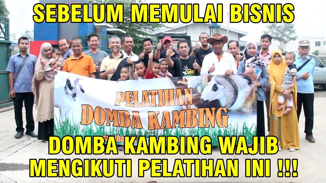 
                                 Pelatihan-Ternak-Kambing-Domba